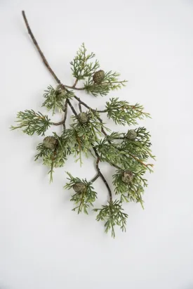 Cedar spray with life like cones 21”