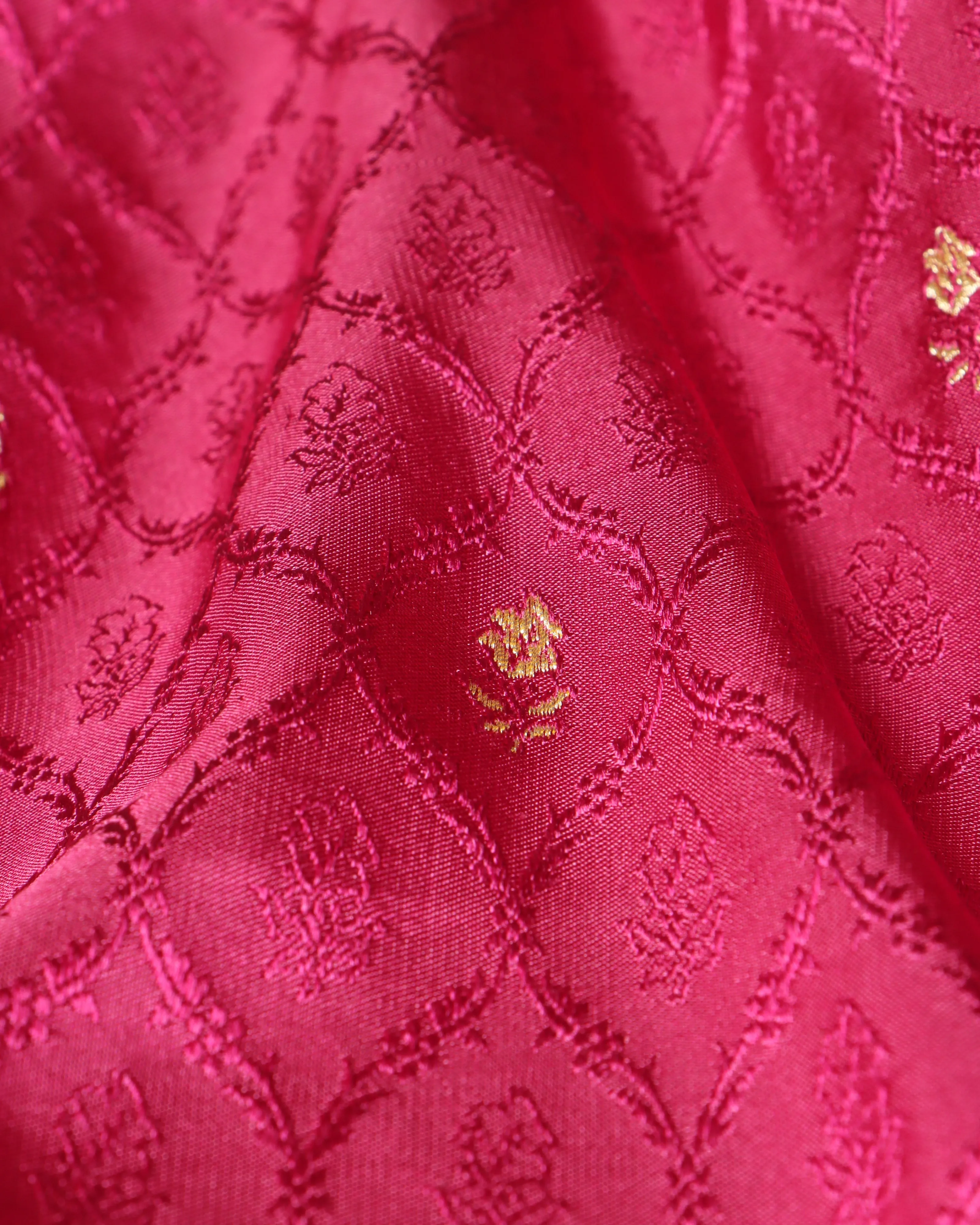 Darsh Tanchoi and Kadwa Silk Saree