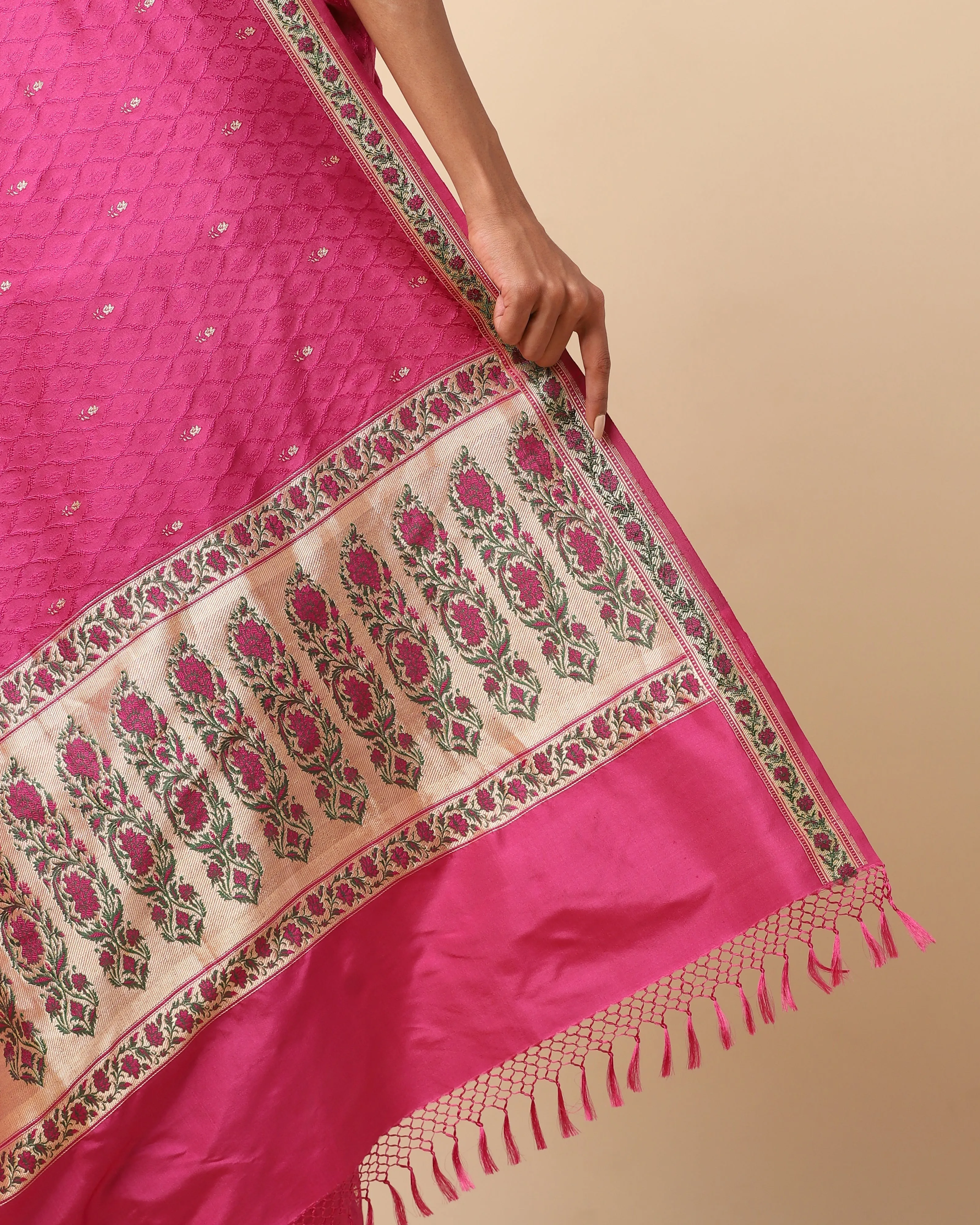 Darsh Tanchoi and Kadwa Silk Saree