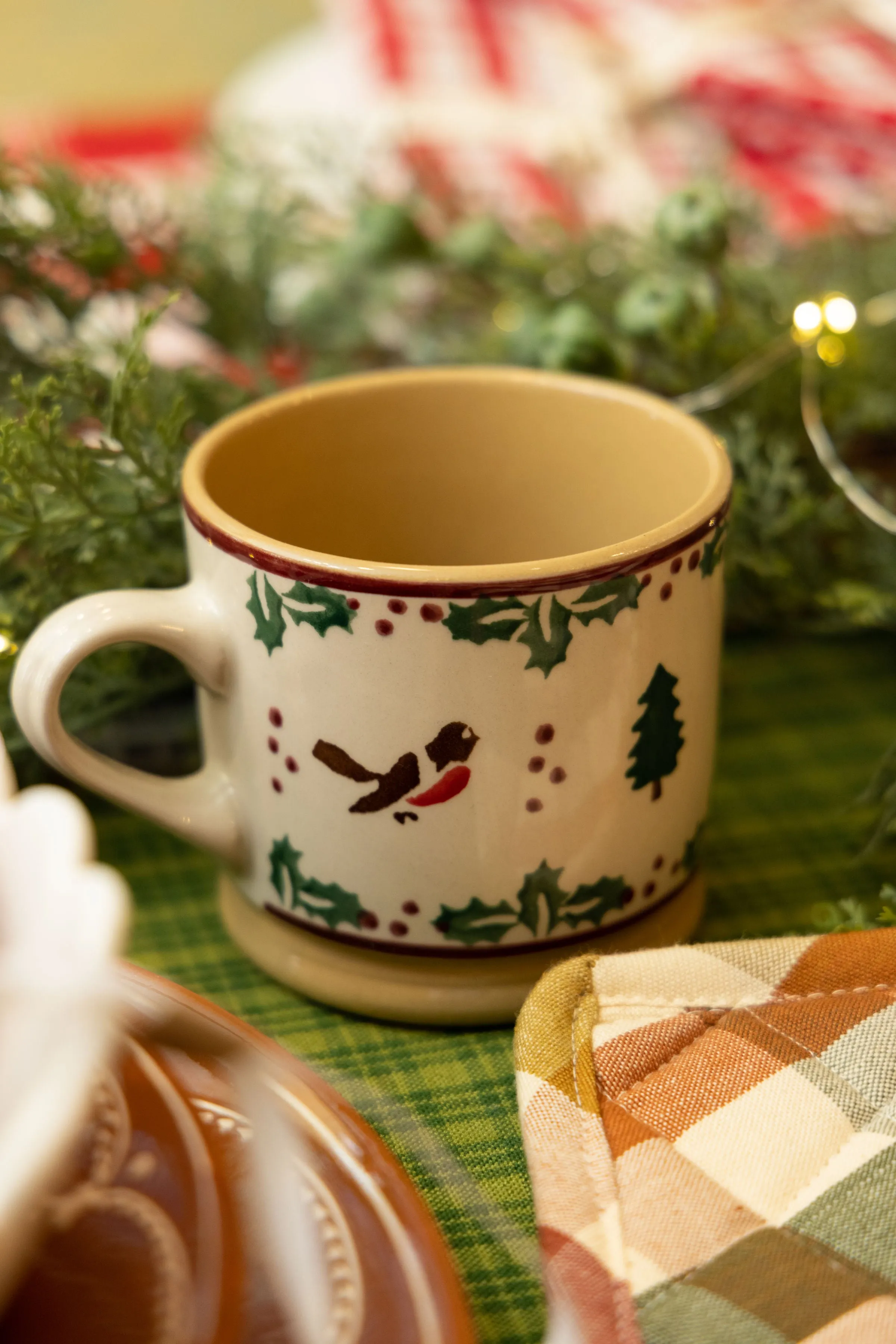 Large Winter Robin Mug