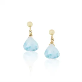 LARIMAR DANGLE EARRINGS